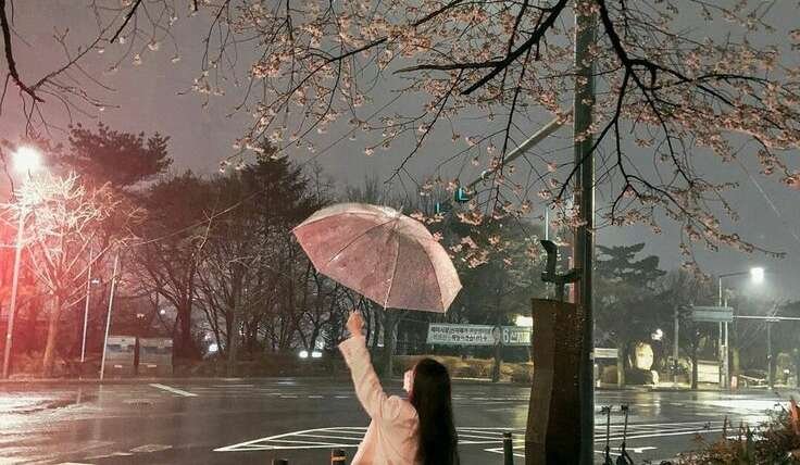 I Want to Write My Own Story